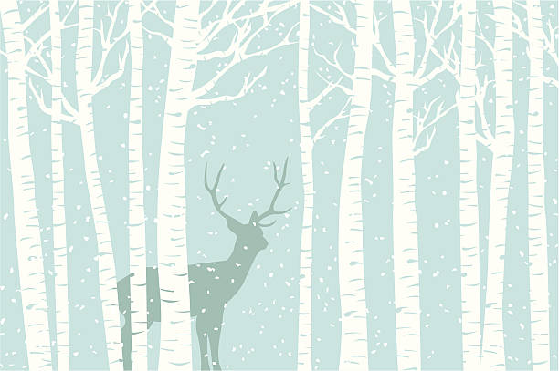Among the Birch A deer walks through a stand of birch tree as the snow falls around it. birch tree stock illustrations