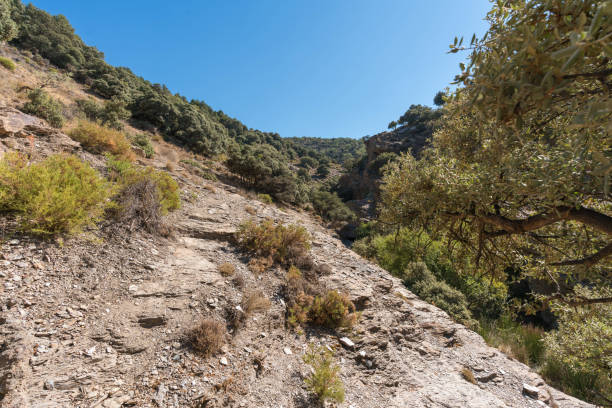 istock ravine in the southern Sierra Nevada 1565192821