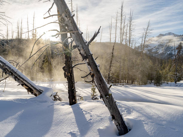 Winder wilderness on a cold morning with fog Snow and fog on a cold mountain morning Sawtooth National Recreation Area stock pictures, royalty-free photos & images