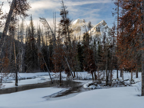 istock Cold winter morning in the Idaho wilderness 1565197053
