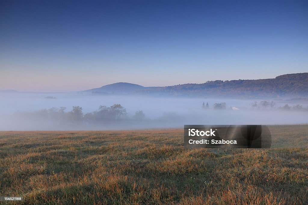 Foggy dia - Foto de stock de Campo royalty-free