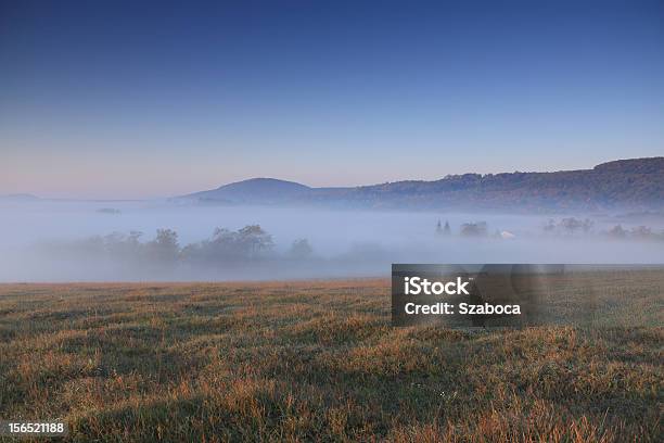 Foto de Foggy Dia e mais fotos de stock de Campo - Campo, Cena Rural, Colina