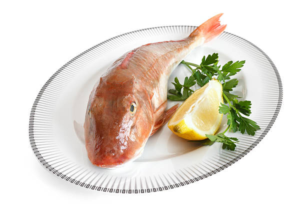 istock sea gallinule- tub gurnard 156522545