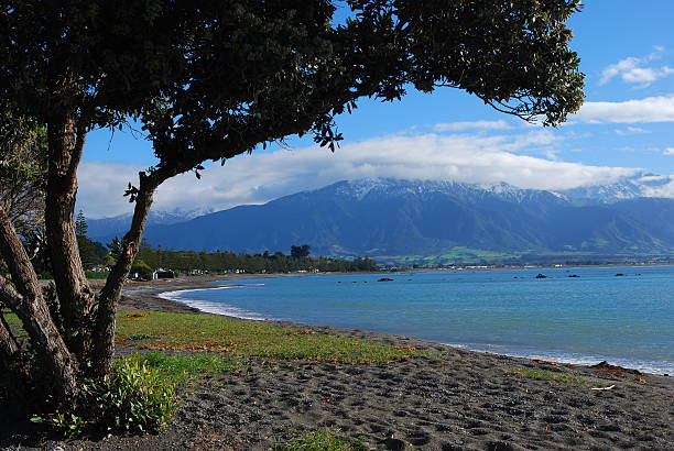 Kaikoura Bay, South Island, Nova Zelândia - foto de acervo