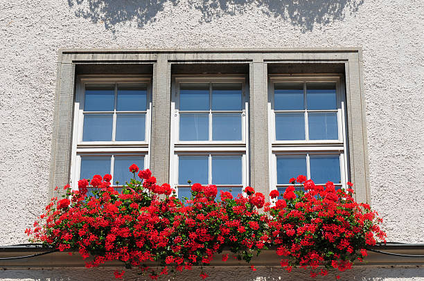istock Flowers outside apartment window in Munich, Germany 156523578