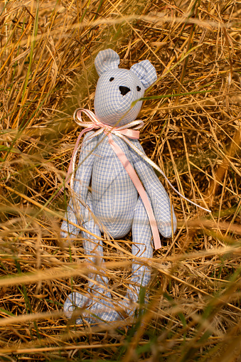 children's soft toy teddy bear sits alone in the dry grass .sad