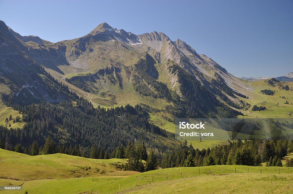 Brienzer Rothorn, горный в Швейцарии - Стоковые фото Гора роялти-фри