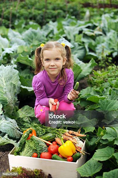 Photo libre de droit de Dans La Cuisine Vue Sur Le Jardin banque d'images et plus d'images libres de droit de Enfant - Enfant, Concombre, Carotte