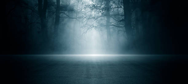 istock Dark empty scene, night landscape, gloomy forest, nature scene with forest and moonlight, night view of the forest, fog, smog, smoke, street asphalt floor, mystical magic theme 1565262879