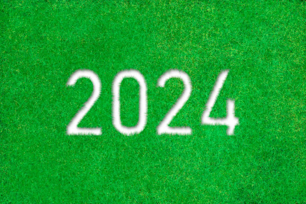 istock text with 2024 in a grassy meadow ecosystem concept 1565273628