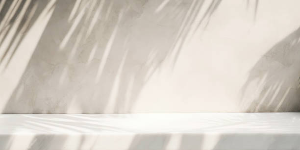istock palm leaf shadow on white marble wall and countertop. background for product advertisement. banner with copy space 1565278428
