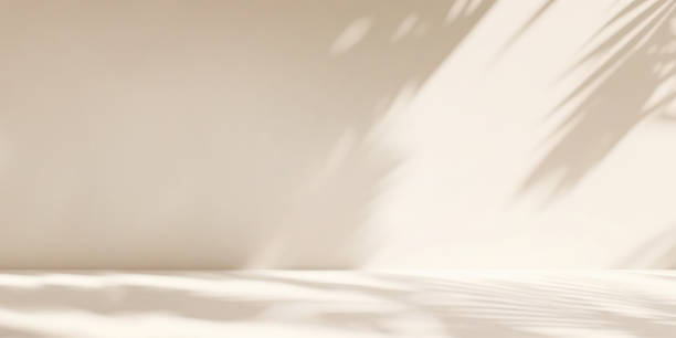 istock plant leaf shadows on beige wall. background for product advertisement. banner with copy space 1565278603