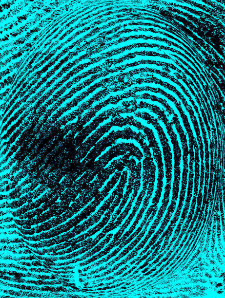 背景に紫外線ランプを持つインデックス指紋、上面図。 - fingerprint blue human finger fingermark ストックフォトと画像