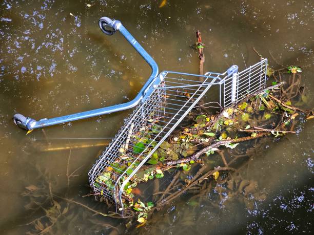 istock Discarded shopping trolley dumped in the river 1565303809