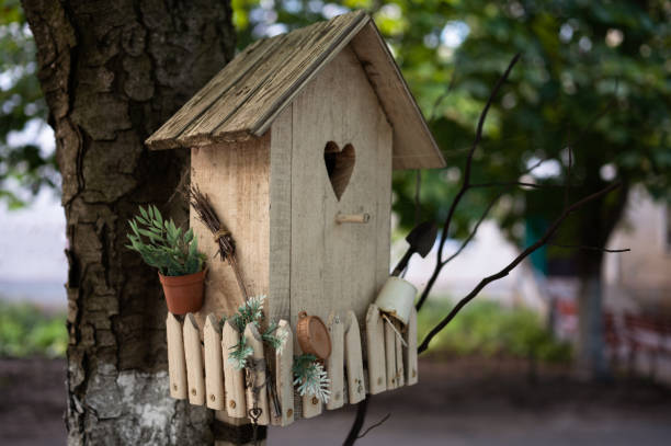 istock Wooden birdhouse, bird house on a tree 1565304923