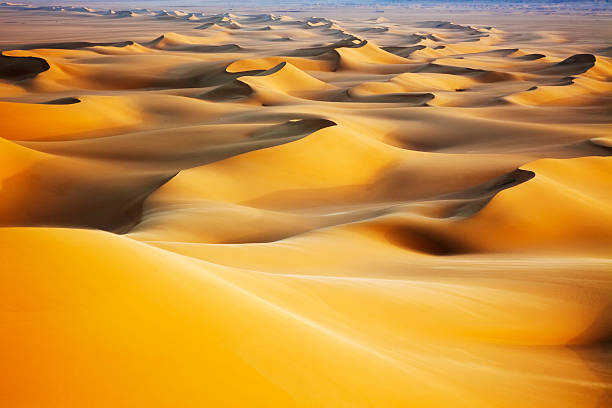 sand dunes bei sonnenaufgang - sahara desert stock-fotos und bilder