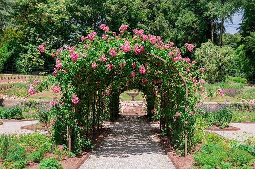 Flower tunnel with benches