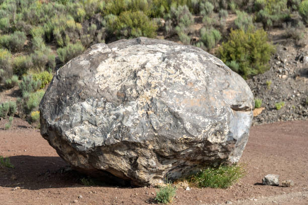 istock Volcanic bomb, rock isolated outdoors 1565324200