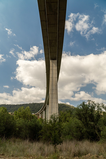 Perspective, bottom view to the pillars of a concrete bridge