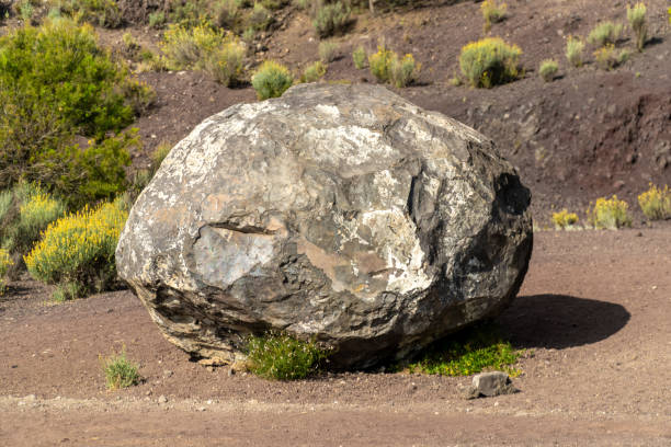 istock Volcanic bomb, rock isolated outdoors 1565325280