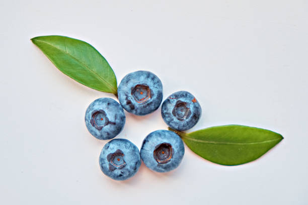 Fresh blueberry with leaves isolated on white background.