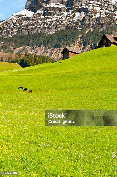 Paść Się Owiec - zdjęcia stockowe i więcej obrazów Chata w górach - Chata w górach, Alpy, Alpy Szwajcarskie