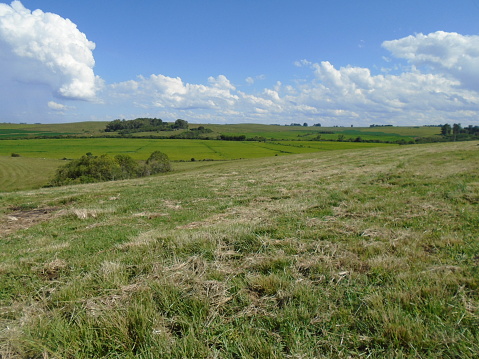Rural landscape of the Pampa in the state of Rio Grande do Sul, Brazil