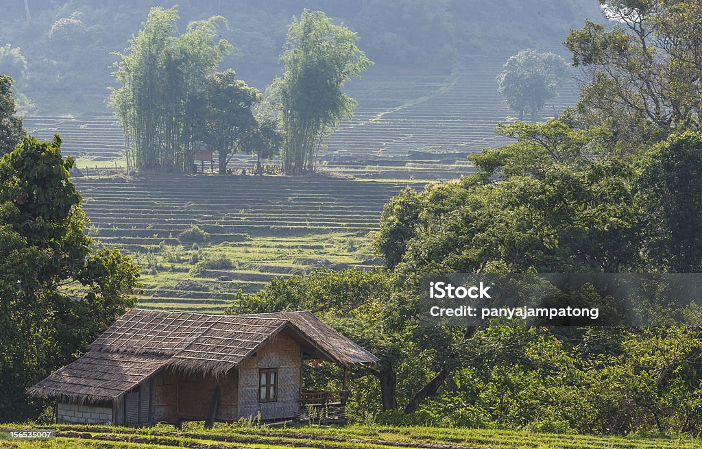 Landschaft – Landschaft in Thailand - Lizenzfrei Agrarbetrieb Stock-Foto