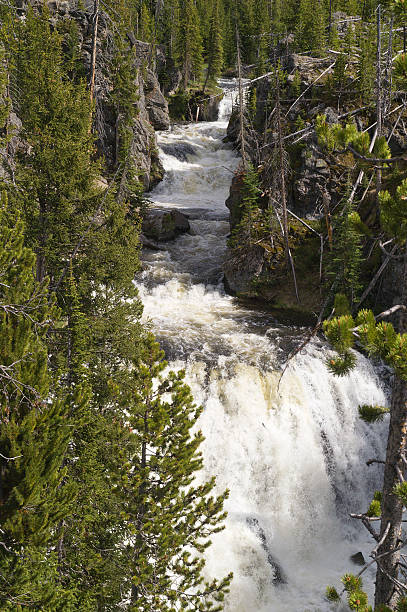 istock Kepler Cascades in Yellowstone National Park 156535535
