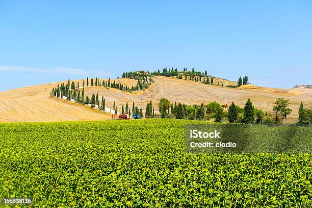 Photo libre de droit de Ferme À Val Dorcia Tuscany banque d'images et plus d'images libres de droit de Agriculture - Agriculture, Bleu, Botte de paille