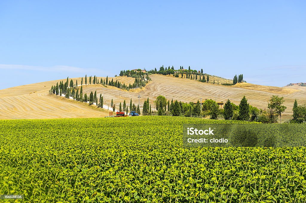 Quinta em Val d'Orcia, Toscana) - Royalty-free Agricultura Foto de stock