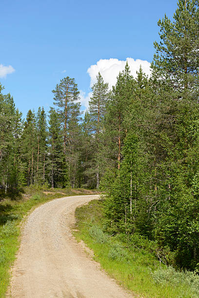 istock Road in the woods 156539200