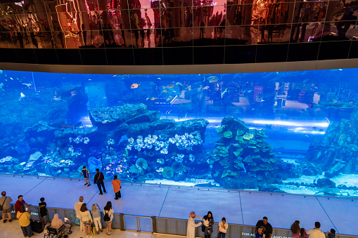 Dubai, United Arab Emirates - June 21, 2023: Dubai Aquarium located in Dubai mall