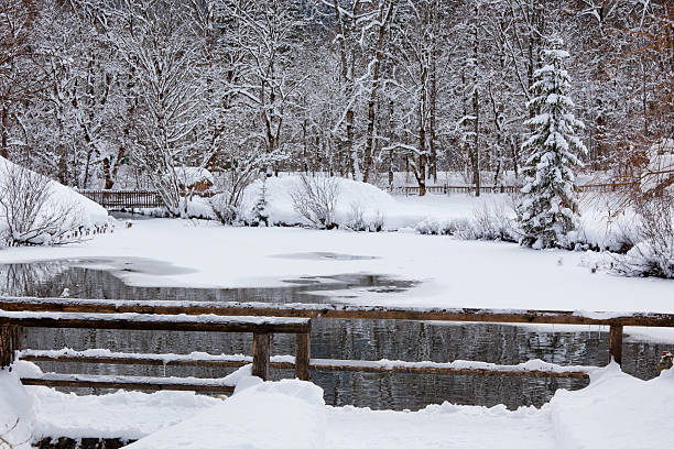 Winter landscape in a city park. A pedestrian bridge over a lake in the rays of the evening sun.