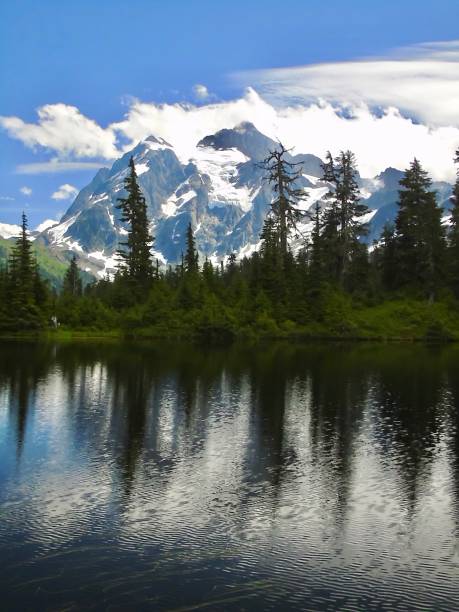 シュクサン山、白い雲、そびえ立つ常緑樹は、ワシントン州ノースカスケード国立公園内のピクチャーレイクに反映されています。 - north cascades national park glacier vertical photography ストックフォトと画像