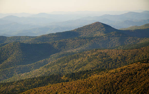 mount mitchell state park blick auf das gebirge appalachian mountains - mount mitchell stock-fotos und bilder
