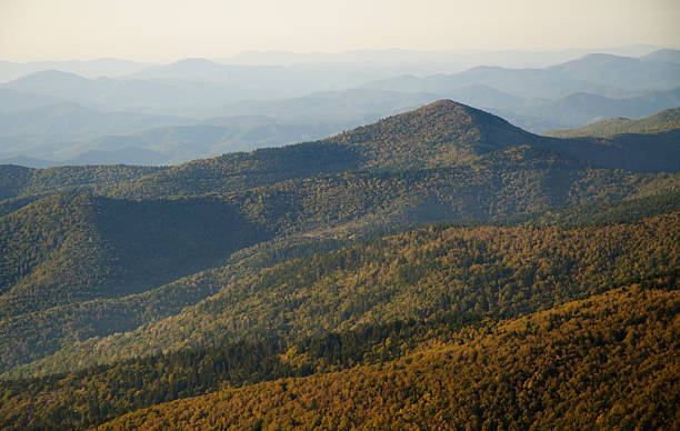 Mount Mitchell State Park view of the Appalachian Mountains Mount Mitchell State Park view of the Appalachian Mountains  mt mitchell stock pictures, royalty-free photos & images