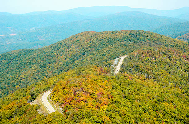 Late afternoon sunshine on the Blue Ridge Parkway after a rain shower, several miles south of I-64 in Virginia