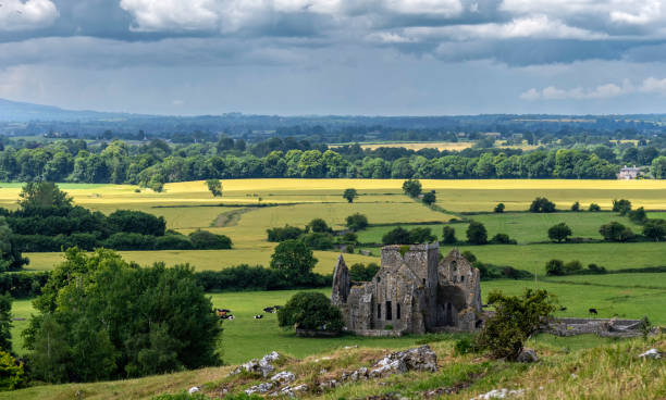 istock Hore Abbey, Co. Tipperary, Ireland. 1565491579