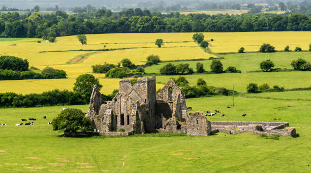 istock Hore Abbey, Co. Tipperary, Ireland. 1565491590
