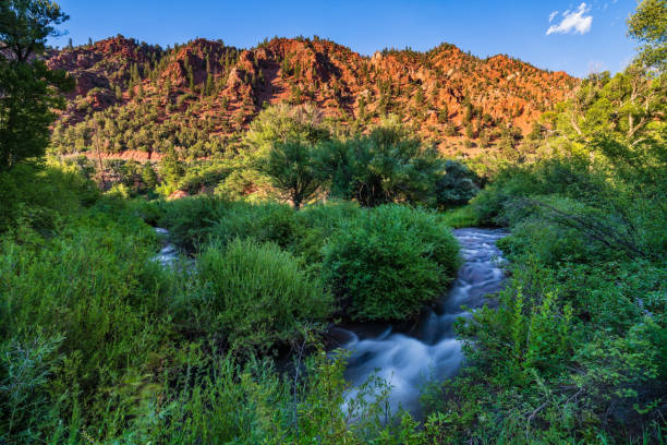 istock Warm and Cool Canyon Reflections in Canyon Creek 1565534269
