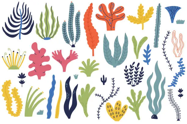 Vector illustration of Big set cute hand drawn sea algae