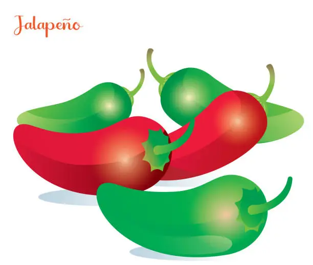 Vector illustration of Jalapenos