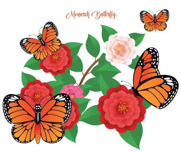 Vector illustration of Monarch Butterflies in Flowers