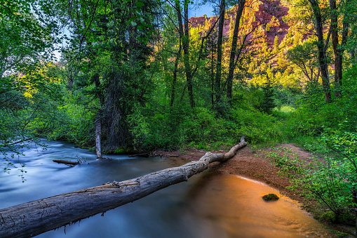 Warm and Cool Canyon Reflections in Canyon Creek - Stream of water flowing through red rock canyon. Scenic summer nature landscape with rugged canyons and lush green foliage.