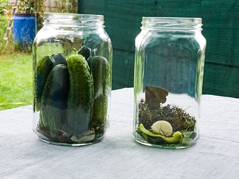 The process of pickling cucumbers for the winter in glass jars. Spices for salting are laid out in jars.