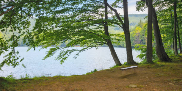 istock calm lake among the forested hills 1565601901