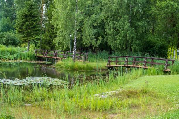 istock Two small wooden bridges between small ponds in a well-kept beautiful park 1565620143