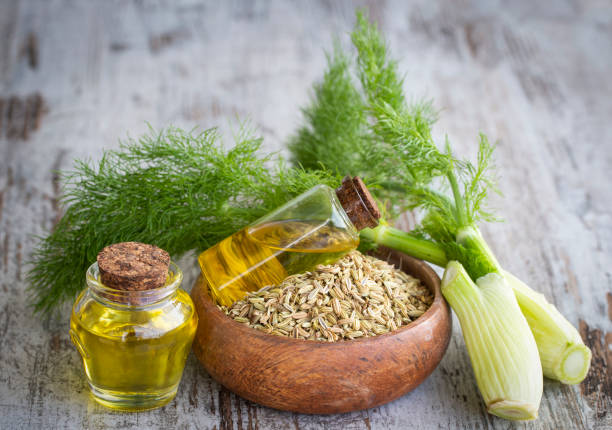 istock Fennel oil and fennel seeds 1565623967