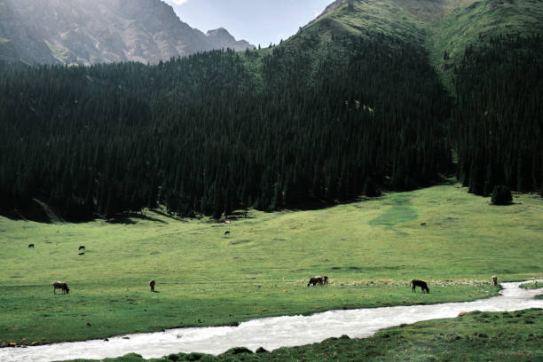 istock View of mountain valley on sunny summer day 1565643060